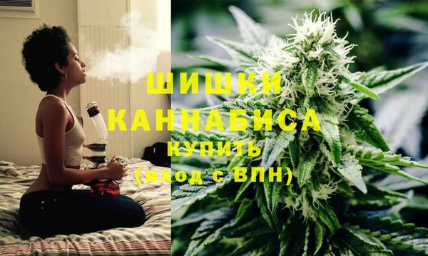 сатива Елабуга