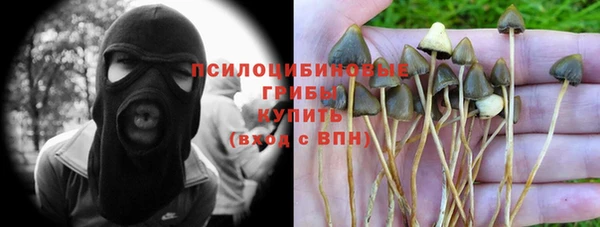 кокс Елизово