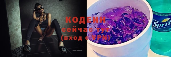 сатива Елабуга
