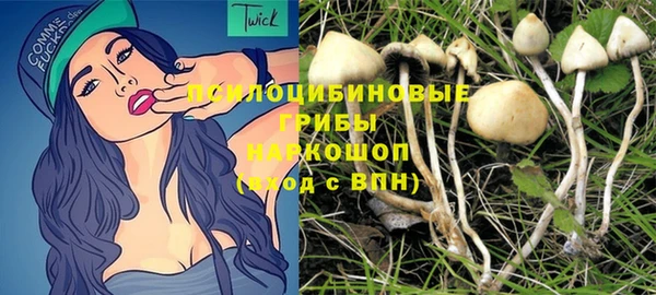 кокс Елизово