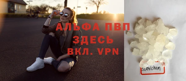сатива Елабуга