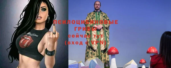 сатива Елабуга