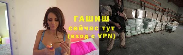 сатива Елабуга