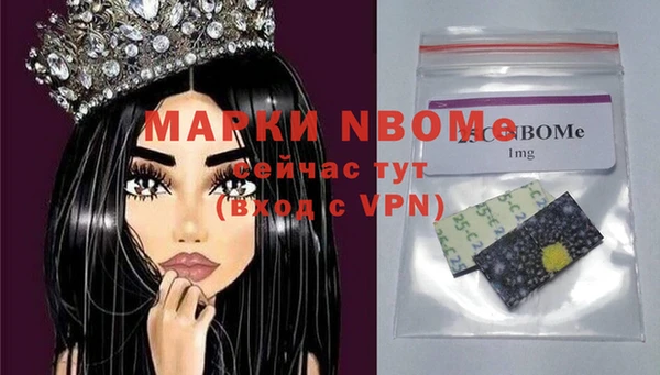 кокс Елизово