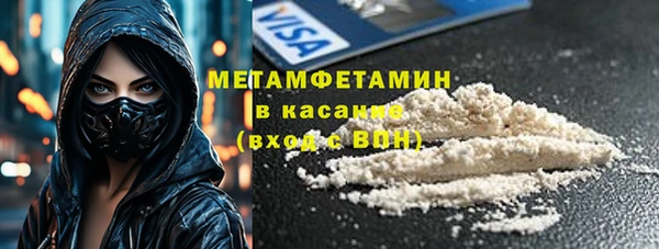сатива Елабуга