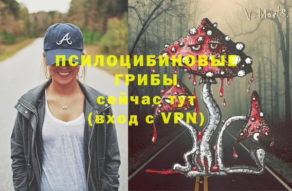 МДМА Ельня