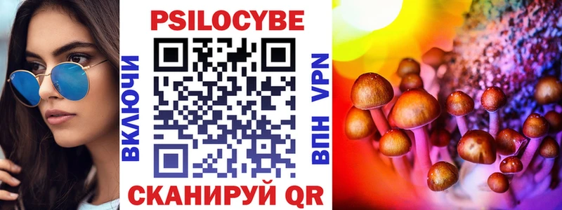 Галлюциногенные грибы мицелий  Каменск-Шахтинский 
